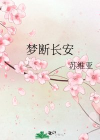 梦断长安